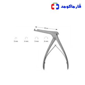 کریسون پانچ