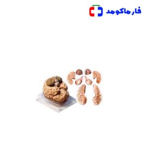 مولاژ مغز 8 قسمتی