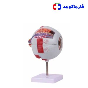 مولاژ چشم 20 برابر