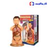 مولاژ نیم تنه عروسکی